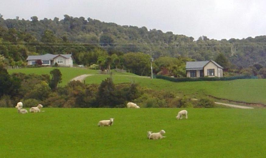 Hilltop Accommodation Catlins Papatowai Экстерьер фото