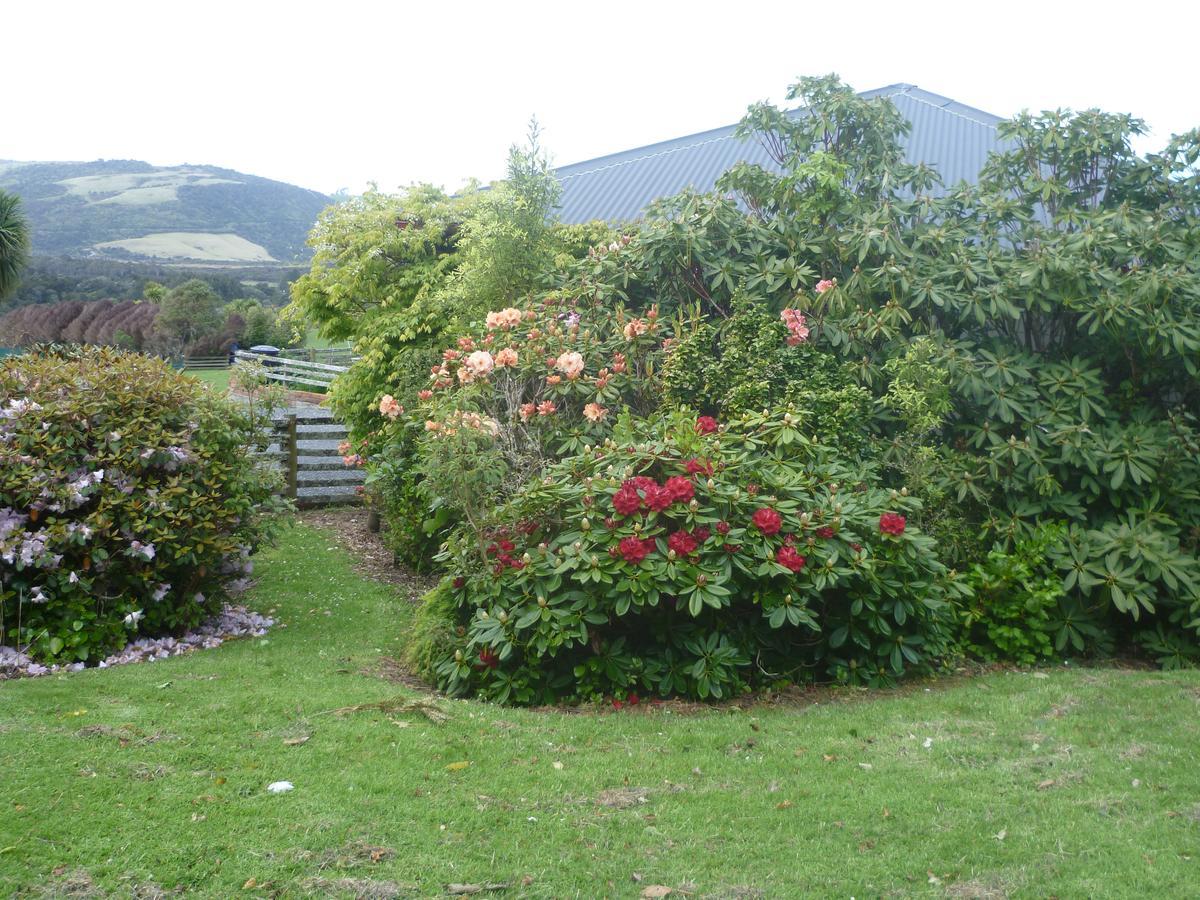 Hilltop Accommodation Catlins Papatowai Экстерьер фото